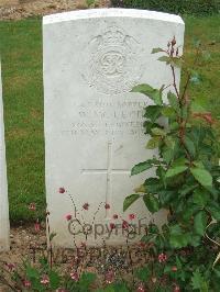 Couin New British Cemetery - McLeod, W