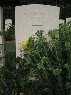 BERKS CEMETERY EXTENSION - WELBORN, F