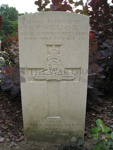 BERKS CEMETERY EXTENSION - WILLIAMS, VIVIAN PREES