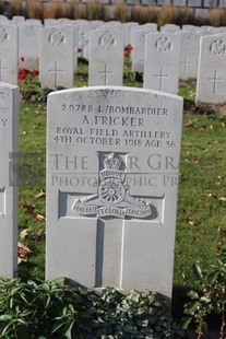 DADIZEELE NEW BRITISH CEMETERY - FRICKER, A