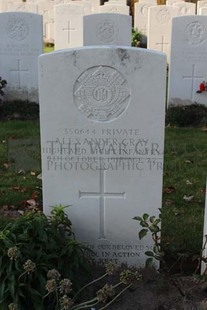 DADIZEELE NEW BRITISH CEMETERY - GRAY, ALEXANDER