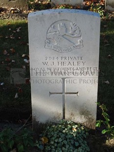 DADIZEELE NEW BRITISH CEMETERY - HEALEY, WILLIAM JAMES