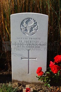 DADIZEELE NEW BRITISH CEMETERY - JACKSON, H