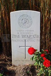 DADIZEELE NEW BRITISH CEMETERY - WADDELL, R