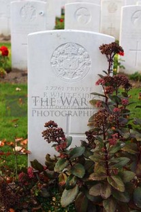 DADIZEELE NEW BRITISH CEMETERY - WHITESIDE, R