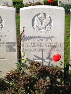 DADIZEELE NEW BRITISH CEMETERY - WILSON, T