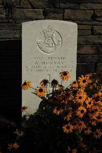 Croisilles British Cemetery - Murray, Albert