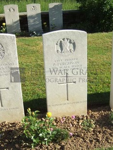 Y RAVINE CEMETERY, BEAUMONT-HAMEL - FERGUSON, P