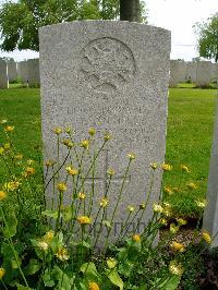 Lijssenthoek Military Cemetery - Anker, P