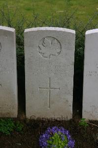 Dury Mill British Cemetery - Potter, WILLIAM WILSON