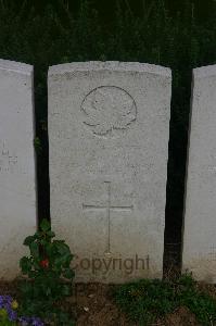 Dury Mill British Cemetery - Root, F E