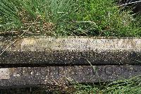 Sheffield (Burngreave) Cemetery - Godley, Joseph