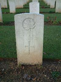 Bretteville Sur Laize Canadian War Cemetery - Dellar, Herbert