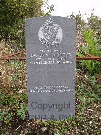 Belfast City Cemetery - Leinster, David A.