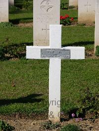 Ranville War Cemetery - Vinat, P